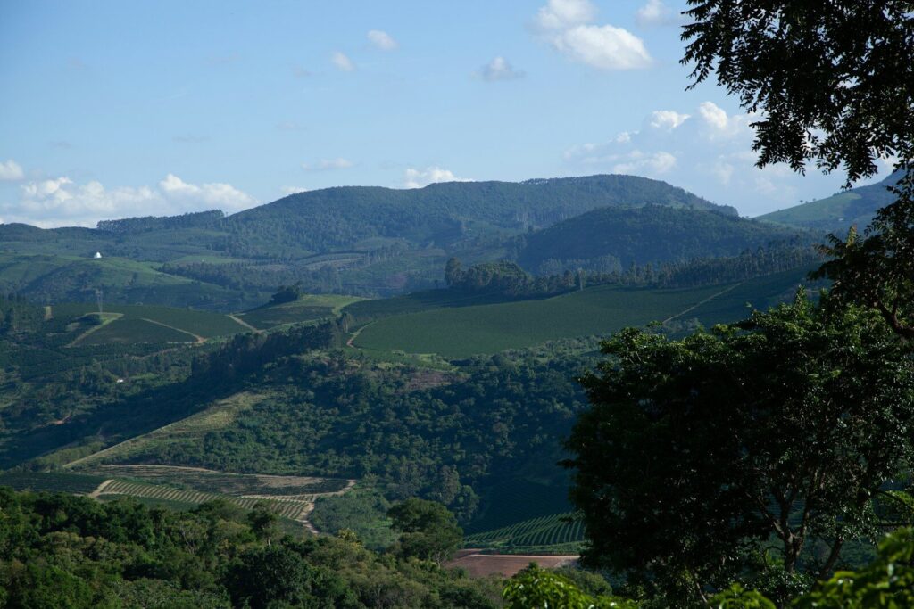 Origin: Brazília - Kávé Magazin